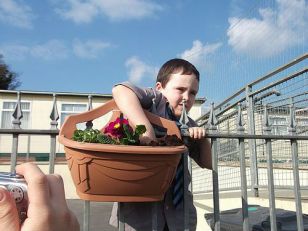 Planting Flowers