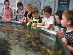 End of Year Trip - Exploris, Portaferry