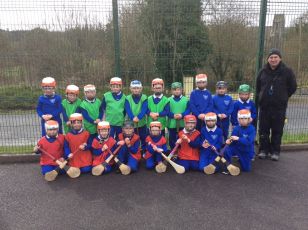 Hurling/Camogie Coaching