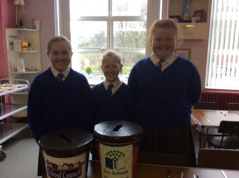All pupils voted by putting their ballot papers in the boxes